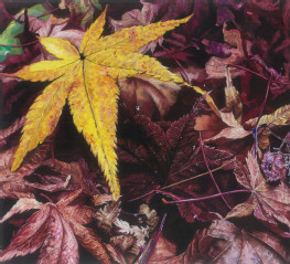 2013级产品设计1班鲜伟岚作...